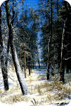 И.И.Шишкин "Зима в лесу" 1877