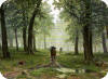 2008 И.И.Шишкин (1832-1898). Дождь в дубовом лесу
