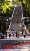 2008г Таганрогу -310 лет Каменная лестница построена в 1823г.на средства , завещанные городу купцом Г.Ф.Депальдо фото И.Саянова